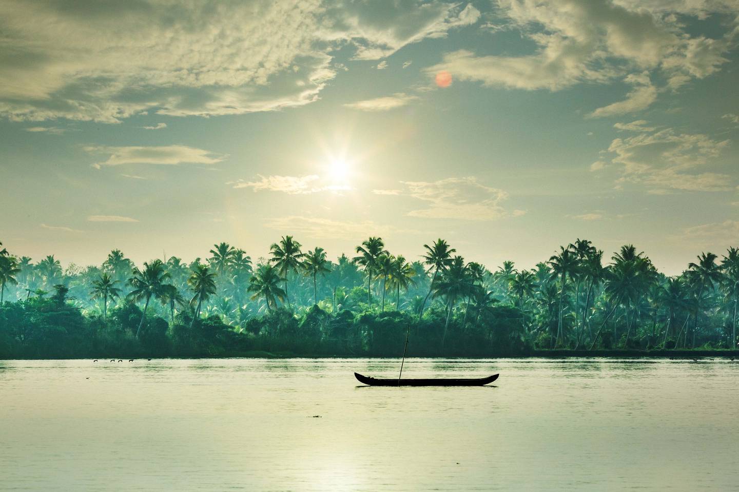 Location: Kerala backwaters, Kerala, India. Getty Images