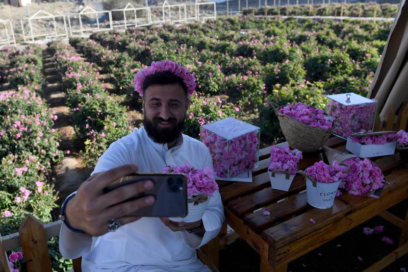A tourist takes a photo with Taif roses at the Bin Salman Farm in the Saudi city of Taif. AFP
