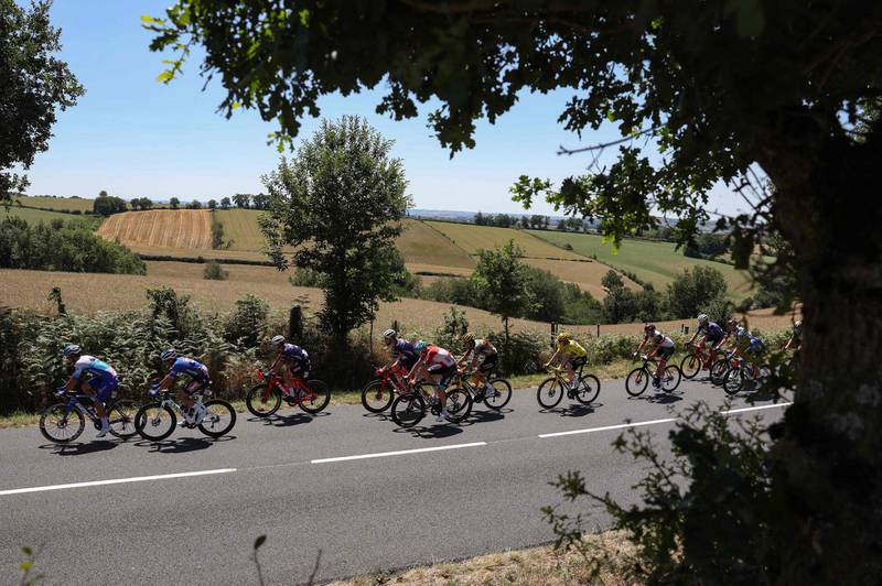 The peloton during Stage 15. AFP
