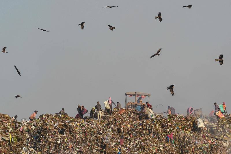 Ragpickers scout for re-usable materials at Pirana landfill on the outskirts of Ahmedabad, India. AFP