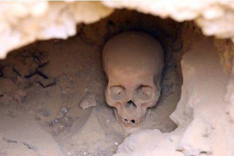 A human skull sits at an excavation site in front of the Giza pyramids. Scholars now believe that modern man first settled on the Arabian Peninsula before migrating to the rest of the world.