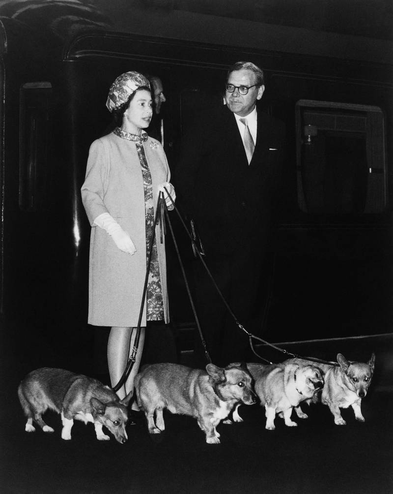 The monarch arrives at King's Cross railway station in London, in October 1969 with four of her corgis after a holiday at Balmoral. AFP