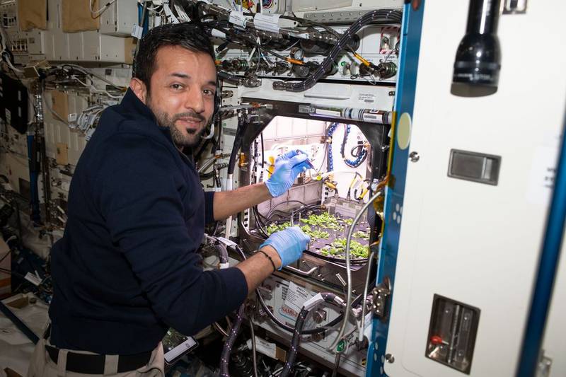 Al Neyadi showing the plant nursery aboard the ISS. Photo: @mbrspacecentre / Instagram