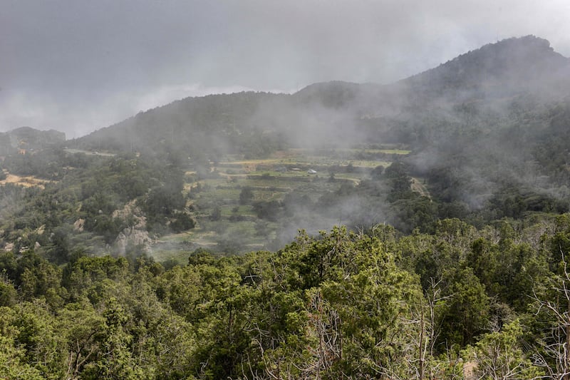 The area is a stark contrast to much of the vast, largely desert country where summer temperatures of up to 50°C are an annual challenge.