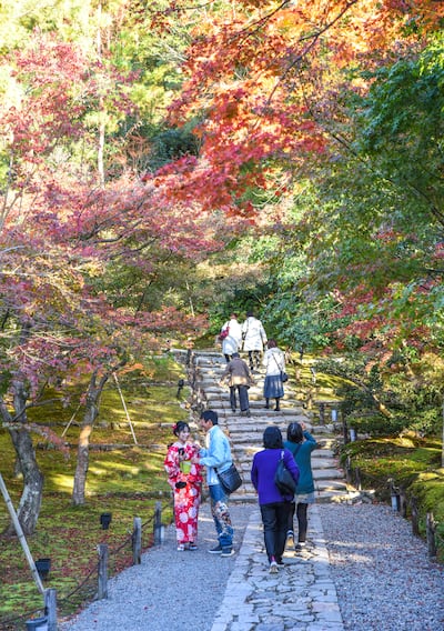 The grounds of the temple are particularly striking in November when Japan’s autumnal bloom bathes the temple in a palette of warm colours. Photo: Ronan O'Connell