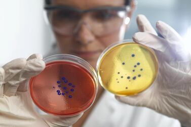 Bacteria which could once be easily treated with antibiotics is increasingly becoming resistant to the drugs