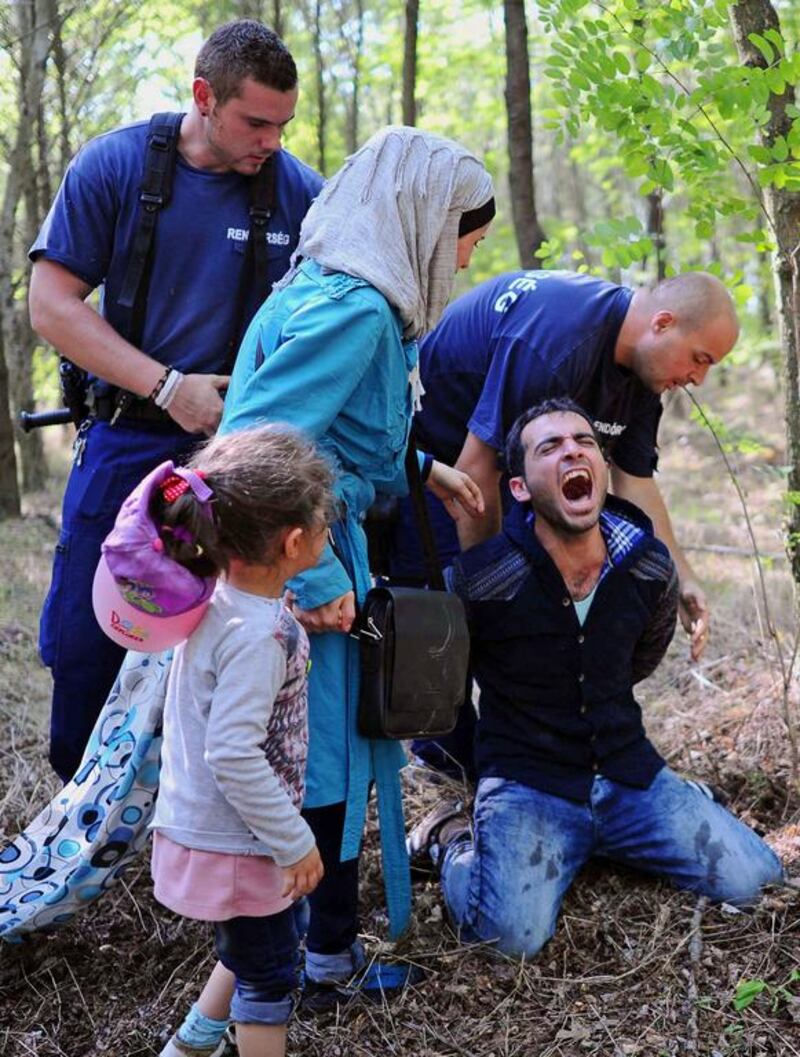 A father of a refugee family is arrested by local police near the village of Roszke on the Hungarian-Serbian border on August 28, 2015. Attila Kisbenedek/AFP Photo


