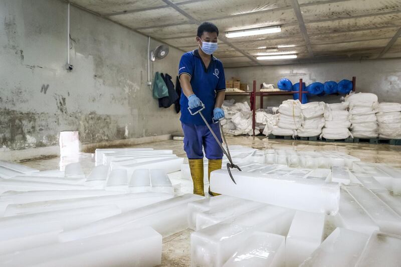 PHOTO PROJECT: ICE FACTORY. A visit to the Gulf Ice Factory & Modern Ice Factory (G&M Ice) located in Dubai Investment Park on June 15th, 2021. Small block and crushed ice production. Small ice blocks the size of 100 cm x 16 cm x 17 cm are weighing 25kg are handled to be used for crushing into small chips that will then be shipped out to a seafood company. The company first started producing ice in the UAE in 1976 in the emirate of Sharjah followed by setting up of multiple units like Modern Ice Factory in 1989, Quality Ice Distribution Office in 1992, Tube Ice Production in 2000 & its latest production facility at Dubai Investments Park launched in May 2008. They are the largest ice producer in the UAE. 
Antonie Robertson / The National.
Reporter: Antonie Robertson for National