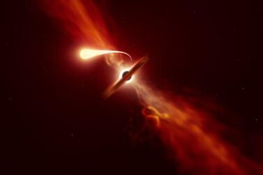 Artist’s impression of the star being 'sphaghettified' and consumed by a supermassive black hole. Courtesy: European Southern Observatory 