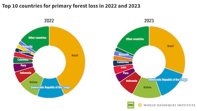 Primary forest loss