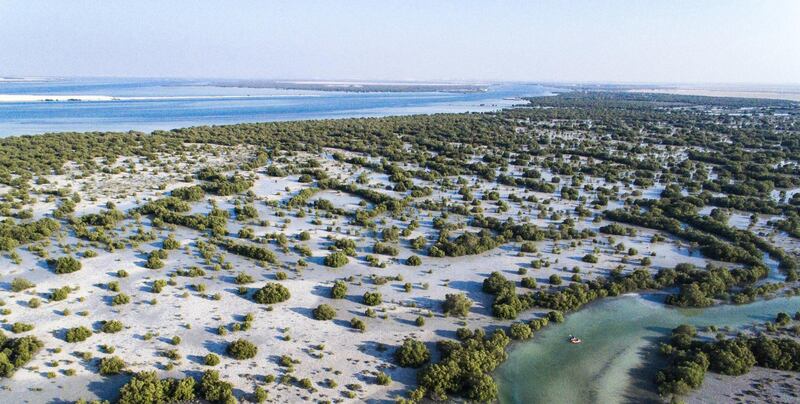 Jubail Island, between Saadiyat Island and Yas Island, is to be transformed at an estimated cost of Dh5 billion and house up to 6,000 residents. Courtesy of Apco