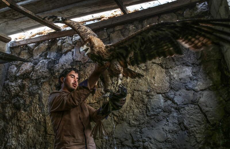 Palestinian Fadl Nabhan poses for a picture with an eagle in his home in the Nuseirat regugee camp in the central Gaza strip. Nabhan breeds and tames falcons and snakes in his home and even succeeded in mummifying some animals after they died due to weather or disease. AFP