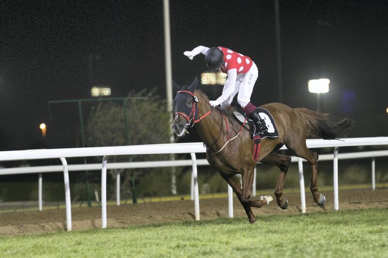 ABU DHABI, UNITED ARAB EMIRATES - NOVEMBER 3, 2018. 

Jockey Olivier Doleuze, riding Darius Du Paon (FR), wins the Sheikh Zayed bin Sultan Al Nahyan National Day Cup race at Abu Dhabi Equestrian Club.

The horse is trained by Eric Lemartinel

(Photo by Reem Mohammed/The National)

Reporter:
Section:  SP