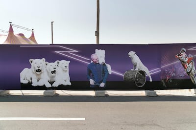 DUBAI, UNITED ARAB EMIRATES - DECEMBER 6, 2018. 

Meraas, the owner and operator of Dubai food truck park brand Last Exit, has closed a controversial travelling circus as it refused to remove lions from its show.

The Latino Circus, which boasts that it features ���four white lions from Africa��� and an ���adorable dog show��� was due to run until December 21 at Last Exit Al Khawaneej, one of four Last Exit branches across Dubai.

White lions are extremely rare ��� there are estimated to be less than 300 white left worldwide.

Their colour is due to a rare recessive mutation, which causes the lion���s coat to vary from almost white to blonde, rather than the normal tawny shade. A cub is only born white if both of its parents carry the recessive gene.

Earlier this week, Last Exit asked for the animal acts to be removed from the show following a backlash from residents unhappy with their use in the show.

However, a post on Last Exit Dubai's Facebook page by Casey McCoy Cainan, who appears to be a lion tamer with the circus, suggested the circus had no plans to carry out the request.

It is understood that The Latino Circus ultimately refused to follow through, prompting Meraas to take further action.

The operator of Last Exit has now shut the circus until further notice.

(Photo by Reem Mohammed/The National)

Reporter:
Section:  NA