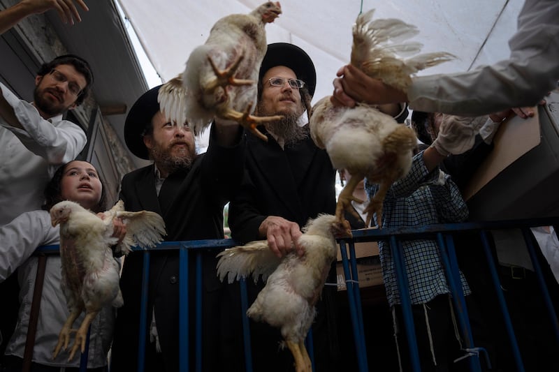 Ultra-Orthodox Jewish men buy chickens to perform the Kaparot ritual in Bnei Brak near Tel Aviv, Israel. Observant Jews believe the ritual transfers one's sins from the past year into the chicken. AP