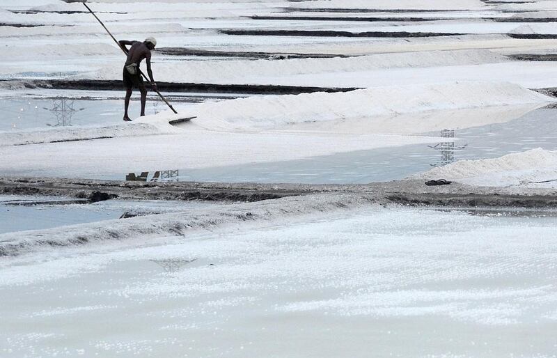 An Indian labourer collects salt with the help of a wooden rake at a salt pan on the outskirts of Mumbai. Over 3,000 acres of  salt pan lands in Mumbai could be freed up for development to provide housing for squatters. Indranil Mukherjee / AFP