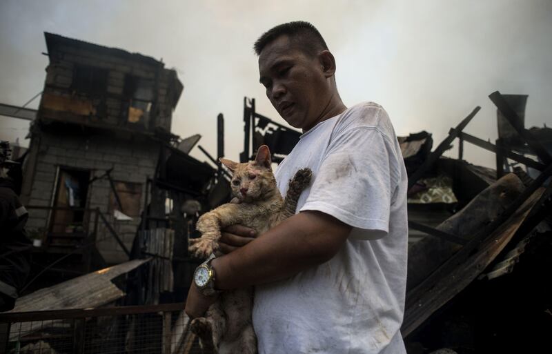 A man rescues his cat.