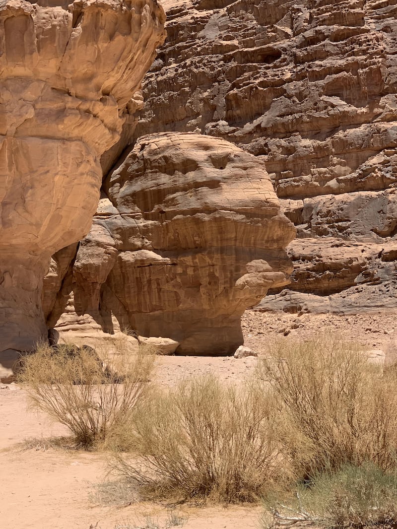 A rock formation nicknamed The Face for its contours.