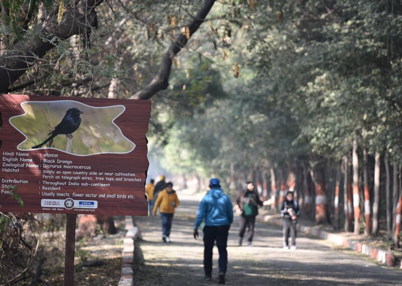 The Okhla Bird Sanctuary, in India's capital Delhi, has become popular with young people, especially after the pandemic lockdowns. All photos: Taniya Dutta / The National 