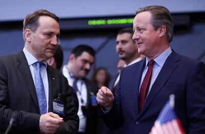 Polish Foreign Minister Radoslaw Sikorski (left) and British Foreign Secretary David Cameron at the Nato summit in Brussels. EPA