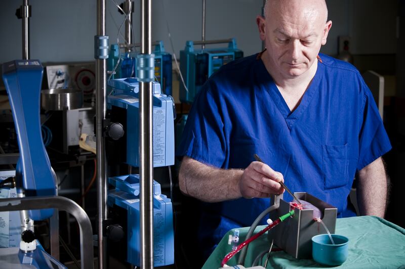 Mike Nicholson, professor of transplant surgery at the University of Cambridge, works on a kidney. PA
