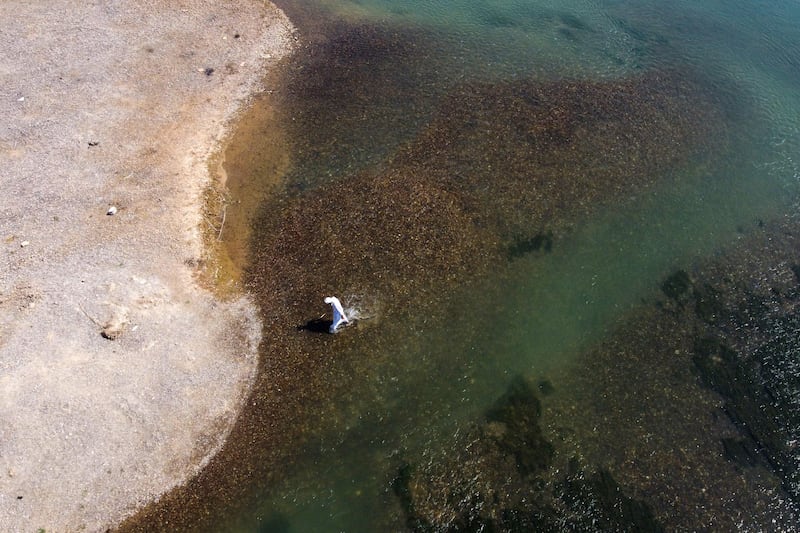 A man walks on the banks of the Euphrates. 