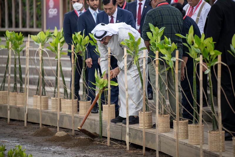 Sheikh Mohamed plants a mangrove tree at the conservation park