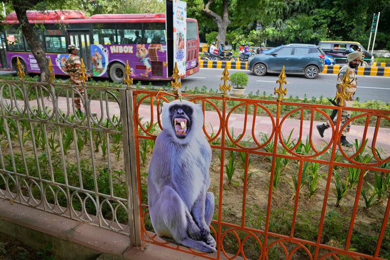 Indian paramilitary soldiers stand guard near a life-size cutout of a langur at a forested area, meant to deter monkeys as the city hosts the G20 summit, in New Delhi, India. AP Photo