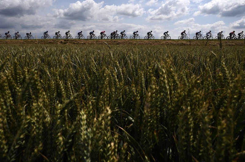 Cyclists ride through wheat fields during the third stage of the Tour de France between Binche and Epernay, Belgium.  AFP