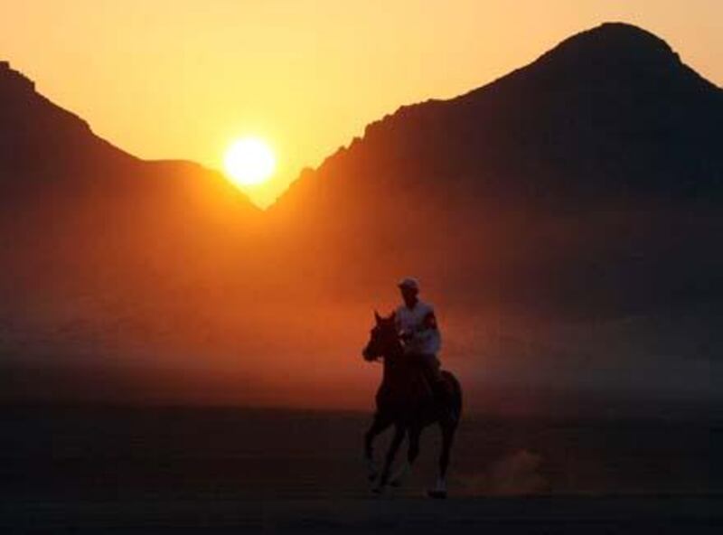 A jockey competes with his horse in the Wadi Rum International Endurance Ride in the Jordanian desert on November 14, 2008. Dubai ruler Sheikh Mohammed bin Rashed al-Maktoum, who is also Emirati vice president and prime minister, won the 120-km race. AFP PHOTO/AWAD AWAD *** Local Caption ***  707742-01-08.jpg