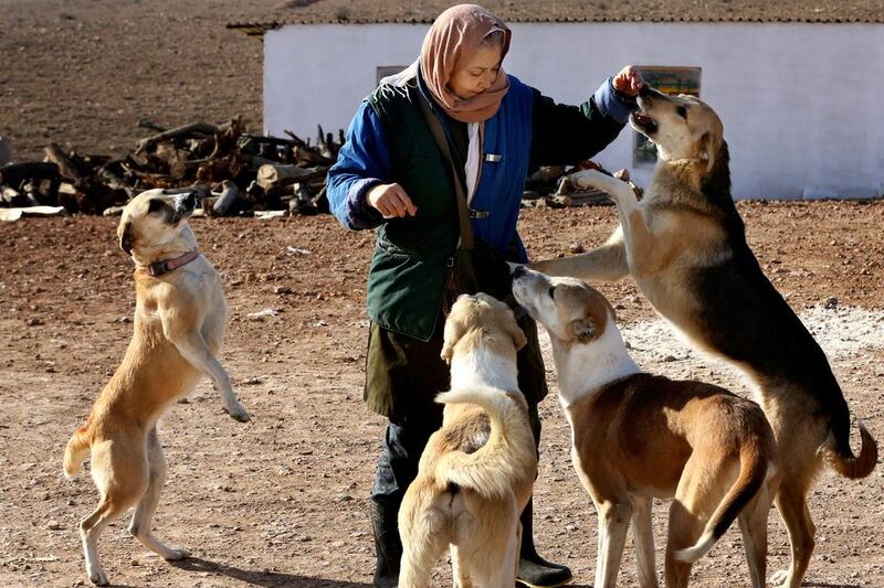 The dispute over dogs is part of a culture war in Iran that dates back to the revolution in 1979 that toppled the pro-Western shah.
