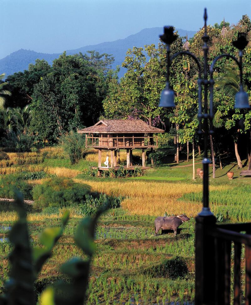 A handout photo showing the Yoga Barn at Four Seasons Chiang Mai (Courtesy: Four Seasons Hotels and Resorts)