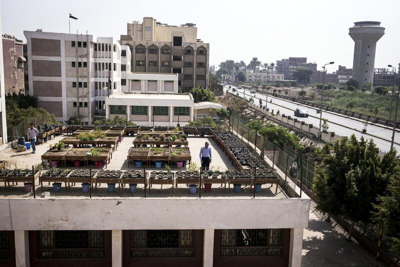 The idea of rooftop gardening has been gaining popularity around the world as well as in Egypt. Above, a rooftop garden in a school in Qaliubiya. David Degner for The National