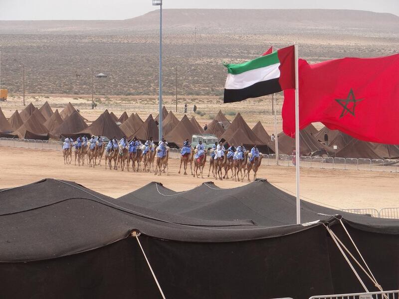 The festival is a showcase of a diverse range of culture and art including camel racing. Courtesy TCA