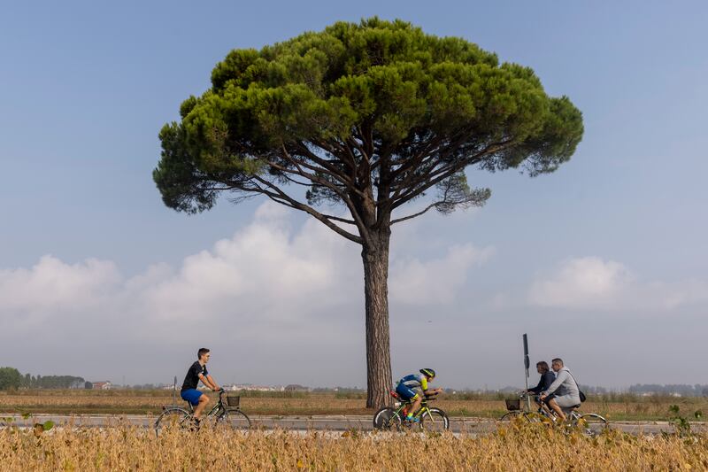 A competitor in the bike leg, sandwiched between members of public out for a ride, during IRONMAN 70.3 Venice-Jesolo in Italy on Sunday, September 26. Getty
