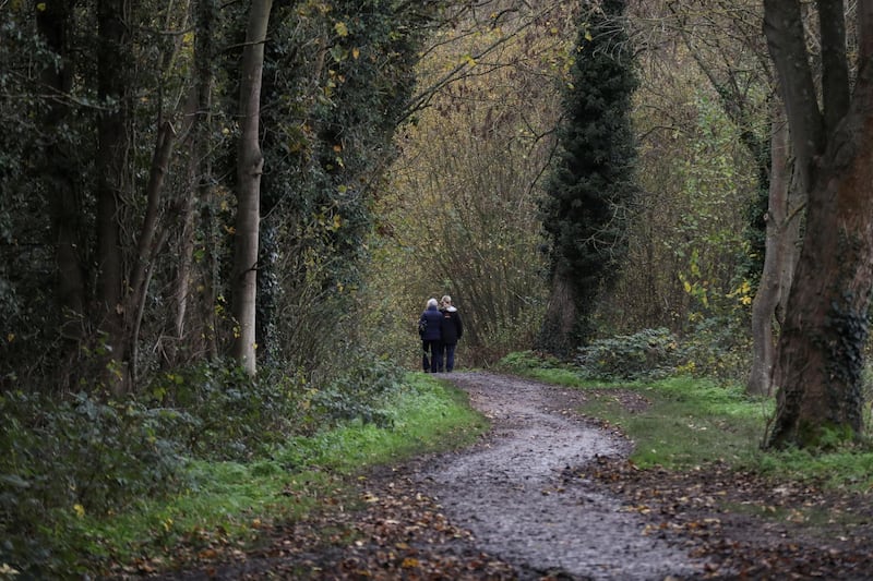 Pensioners walk through woodland during lockdown in London. Reuters