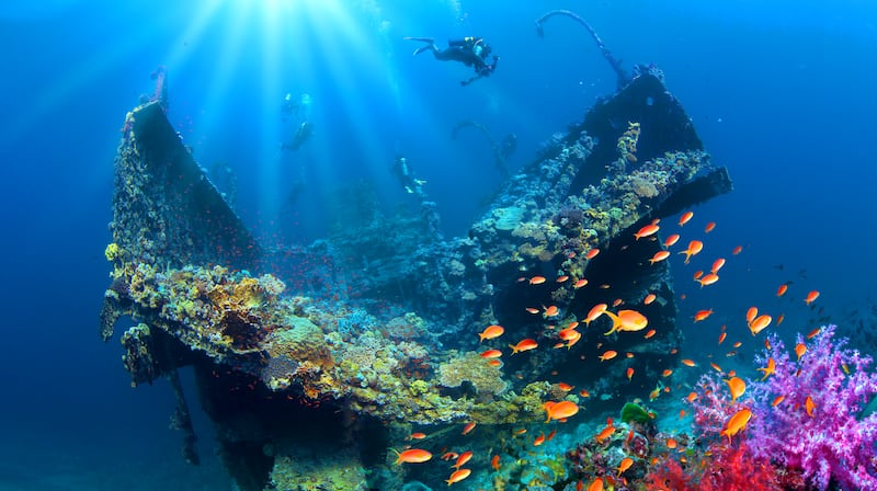 Scuba diving in Saudi Arabia's Red Sea. The kingdom has set up a new authority to regulate tourism activity along the Red Sea coast. Photo: STA