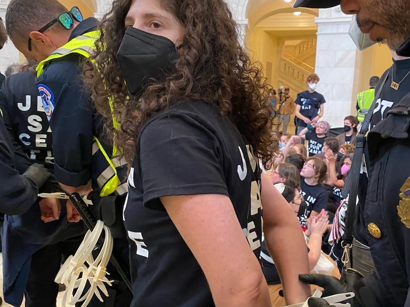 Laura Kraftowitz is arrested at a sit-in protest in Washington. Photo: Laura Kraftowitz