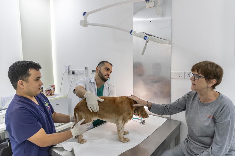 Dr Furkan Morgulle, a vet at Advanced Pet Care Clinic in Dubai's Umm Suqeim. All photos: Antonie Robertson / The National