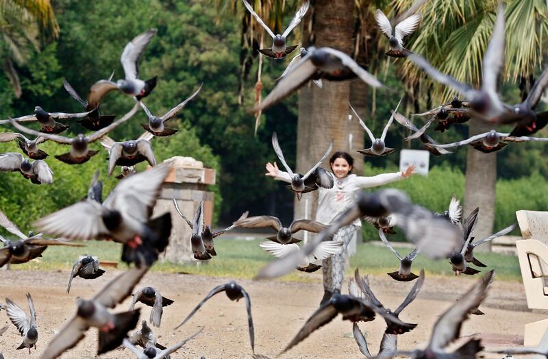 A girl runs towards pigeons in a public park, in Jeddah, Saudi Arabia. AP Photo