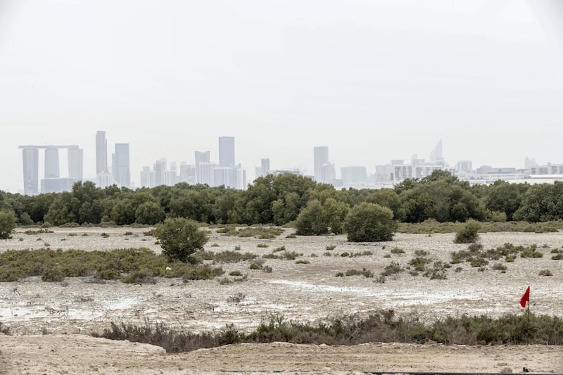 ABU DHABI, UNITED ARAB EMIRATES. 08 APRIL 2019. Launch of a new development on Jubail Island in Abu Dhabi. General view of the un-developed island. (Photo: Antonie Robertson/The National) Journalist: Daniel Sanderson. Section: National.