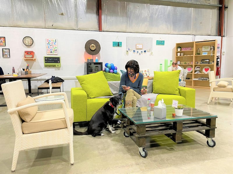 Doggy Be Collective, a new dog-friendly co-working space, has opened in Dubai. Courtesy Doggy Be Collective