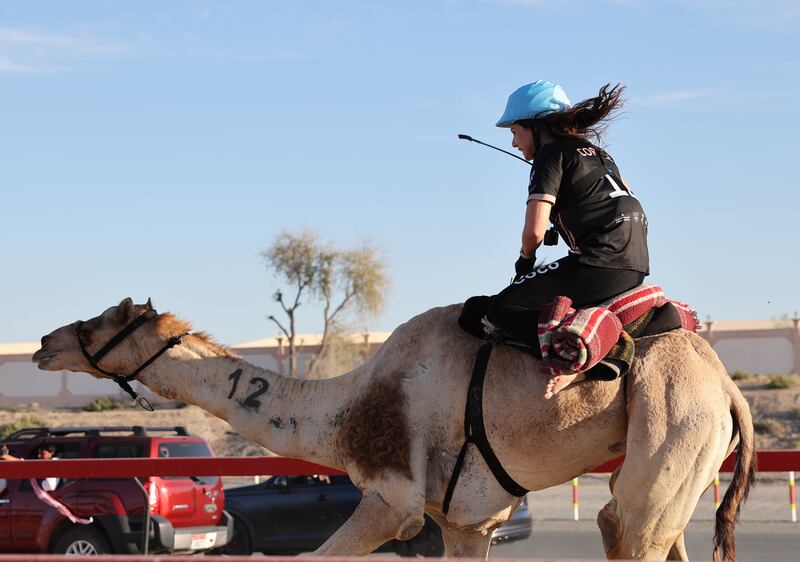 Camel and rider in the final race of the Female Camel Racing Series C1 Championship season 2022-2023.