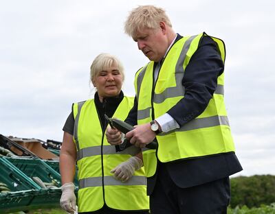 Britain's Prime Minister Boris Johnson is shown by a picker how to 'top' a courgette with a knife as he picks vegetables during a visit to Southern England Farms Ltd in Cornwall on Monday. AFP