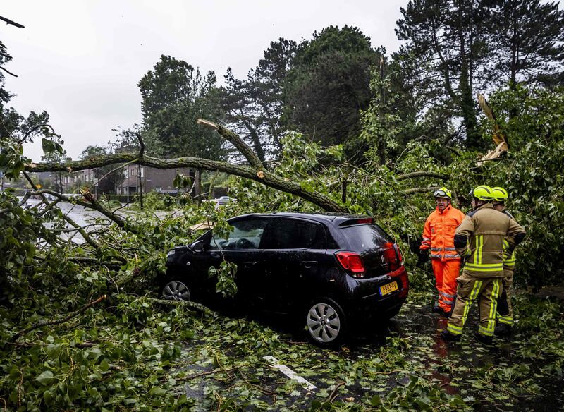 City employees attempt to remove a fallen tree in Haarlem. AFP