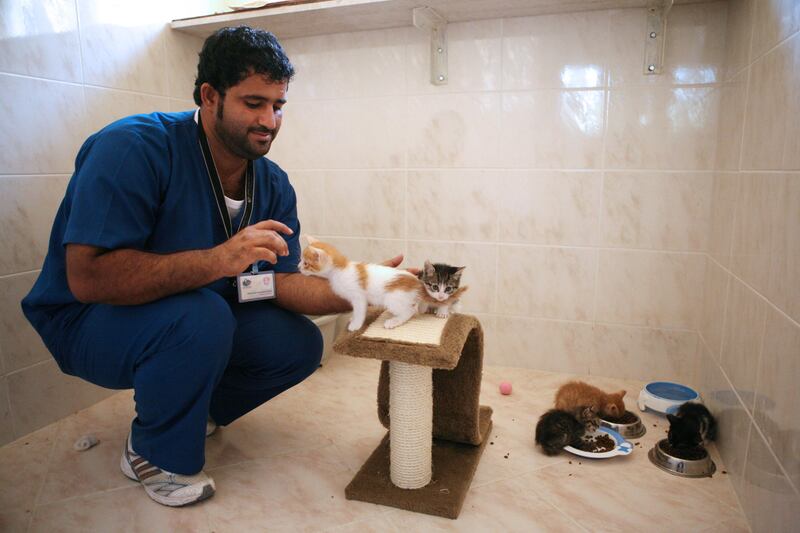 26-Sep-2011, Abu Dhabi Falcon Hospital, Abu Dhabi. A new animal shelter has opened in Abu Dhabi, were rescued street dogs and cats can
be adopted. Fahad Al Badi is working their as a Technical. 
Fatima Al Marzouqi/ The National
