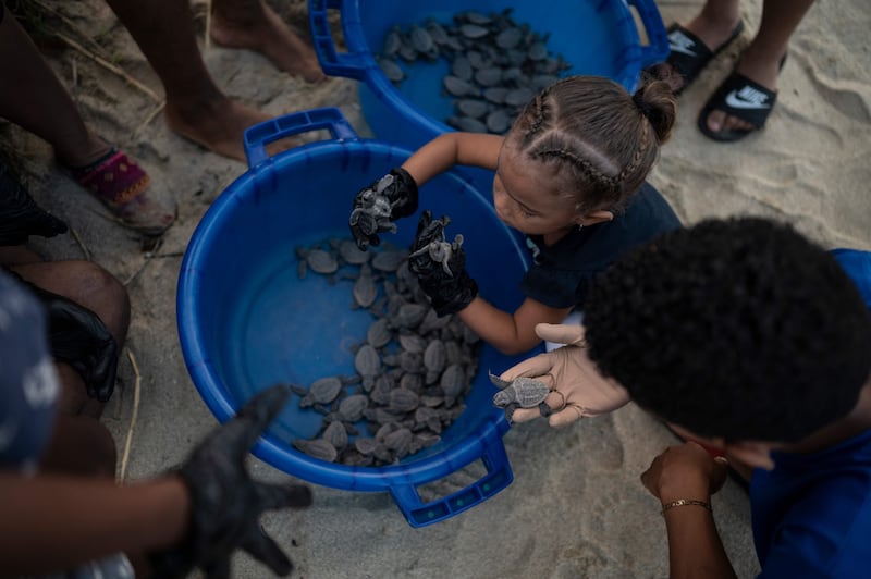 Children with endangered loggerhead turtle hatchlings before they are released into the ocean by conservationists at El Puerto beach, in the fishing village of La Sabana, La Guaira State, Venezuela. AFP