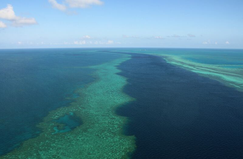 The Great Barrier Reef Marine Park encompasses about 99 per cent of the World Heritage-listed natural wonder