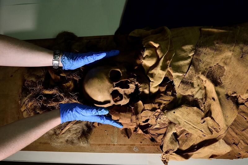 The project has been carried out to help uncover the history of the mummy.
