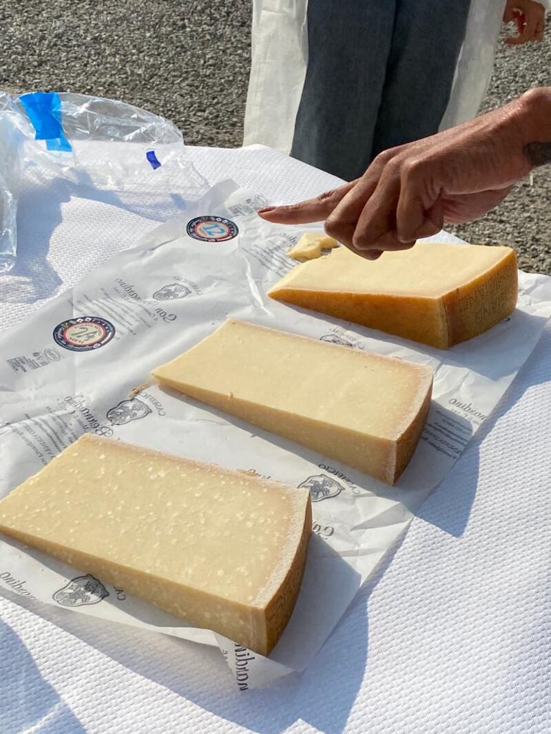 Tasting Parmigiano Reggiano of different ages at Caseificio San Bernardino dairy. Farah Andrews / The National